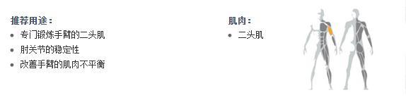 广州麻豆精品在线免费观看健身器材