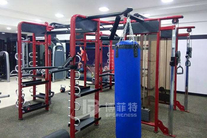 麻豆精品在线免费观看印度客户健身房案例