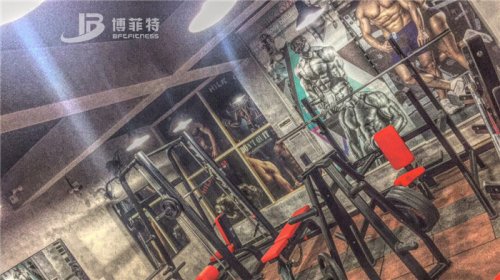 伊拉克客户的健身房图片 麻豆精品在线免费观看健身器材案例